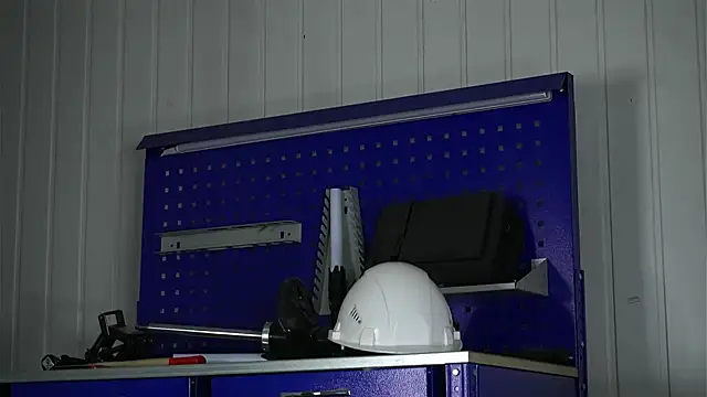 Snapshot of dustyn_fox chatting on 02.27.26 dustyn fox online show from 02.27.26