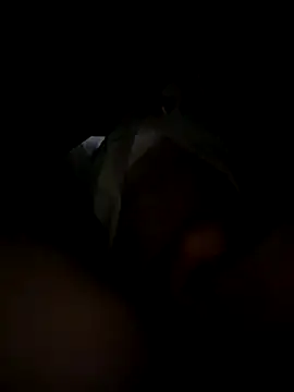 toysonly online show from 12.02.25