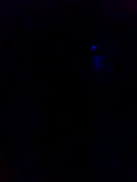 dotado20robson online show from 02.16.26