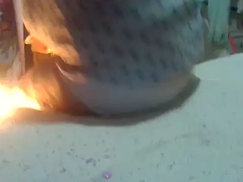 biuv online show from 02.18.25