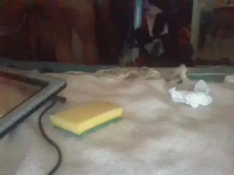 biuv online show from 02.23.25