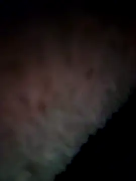 Snapshot of 07YUKIO chatting on 12.31.24 07YUKIO online show from 12.31.24