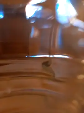 kx93 online show from 10.07.25