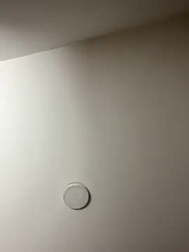 Freya Artemisa online show from 02.13.26