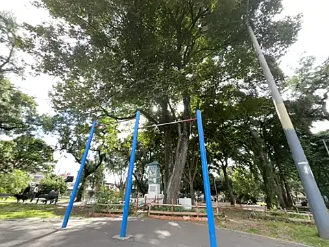 Siriss boyrag online show from 02.20.26