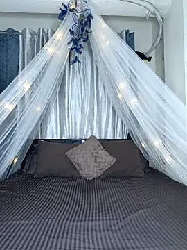 Bold-Cat online show from 02.18.26