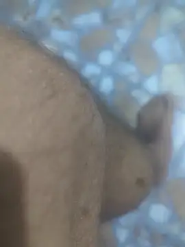 Snapshot of Sunnyboy7897 chatting on 03.09.26 Sunnyboy7897 online show from 03.09.26