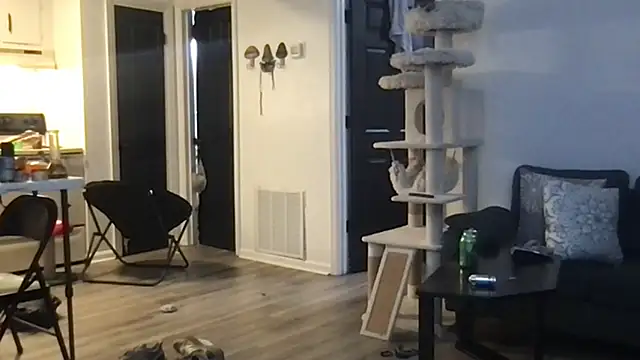 Snapshot of SpunCandy chatting on 10.01.25 SpunCandy online show from 10.01.25