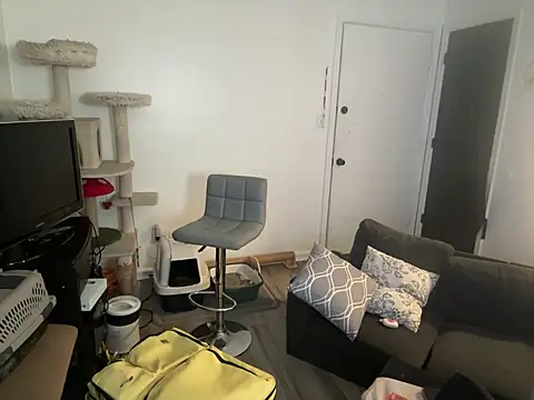 SpunCandy online show from 06.08.26
