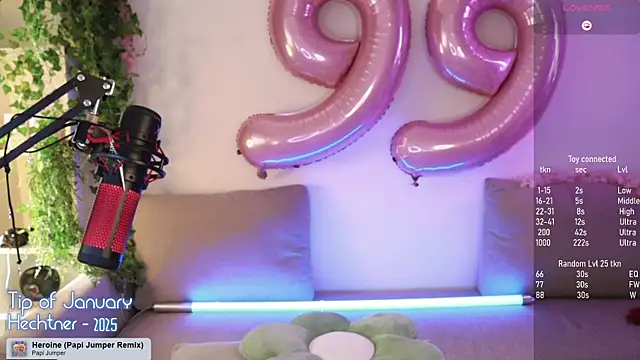 Snapshot of Virtual_Wafu chatting on 01.16.25 Virtual Wafu online show from 01.16.25