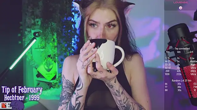 Snapshot of Virtual_Wafu chatting on 02.02.25 Virtual Wafu online show from 02.02.25