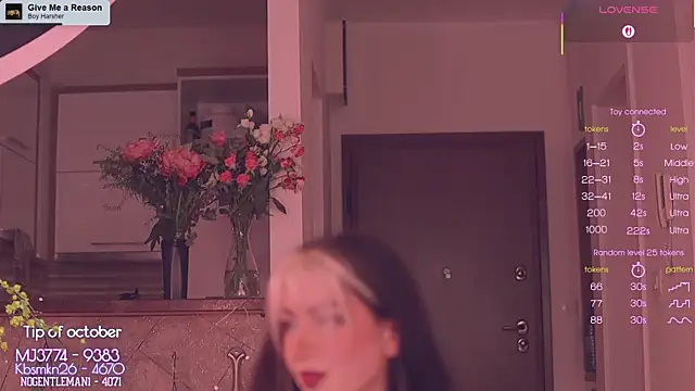 Snapshot of Virtual_Wafu chatting on 11.02.25 Virtual Wafu online show from 11.02.25