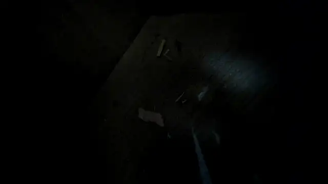 evely coelloo online show from 02.02.26