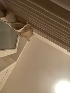 annonyme  422 online show from 01.07.25