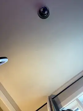 Snapshot of PuckBunny17 chatting on 12.16.24 PuckBunny17 online show from 12.16.24