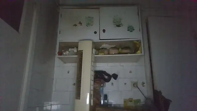 mariusica1xh online show from 03.13.26