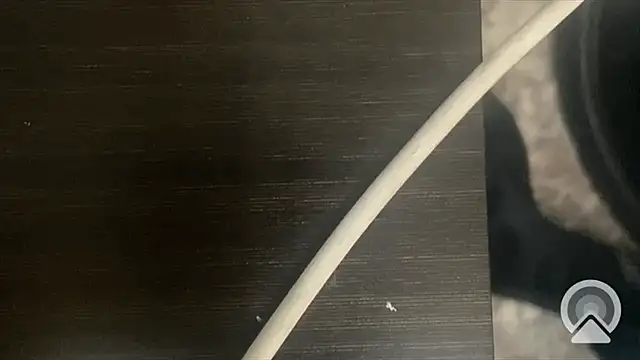 shuai321 online show from 02.13.25