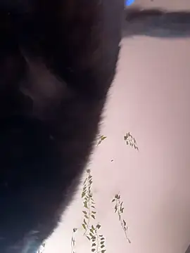 -Sexy Barbie- online show from 10.11.25