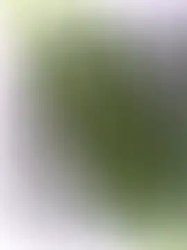 mrwright878787 online show from 12.27.24