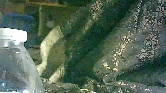 Snapshot of DI4MOND_FIR3 chatting on 03.17.26 DI4MOND FIR3 online show from 03.17.26