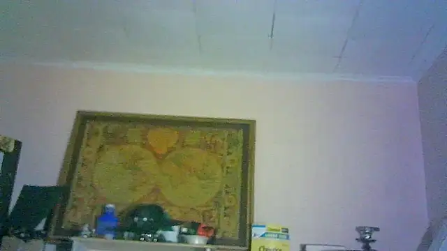 Snapshot of DI4MOND_FIR3 chatting on 05.13.26 DI4MOND FIR3 online show from 05.13.26