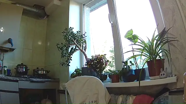 Snapshot of BroadFantasy chatting on 09.11.25 BroadFantasy online show from 09.11.25