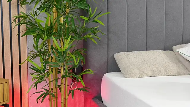 celestara online show from 12.06.24