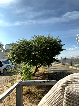 SandraCarter online show from 09.18.25