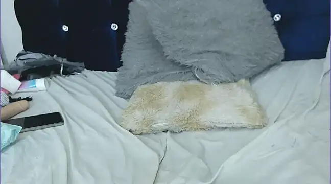 chicago 28 online show from 01.25.25