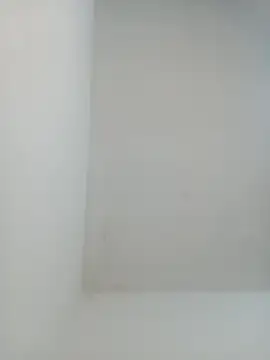 igor miller20 online show from 02.01.25