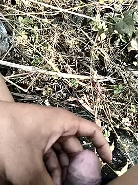 royalrohan3245 online show from 11.20.25