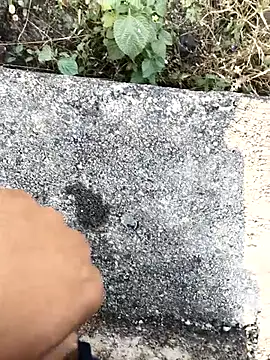 royalrohan3245 online show from 11.21.25