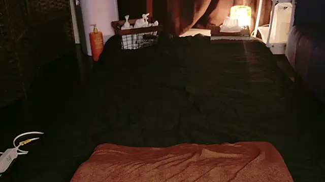 Snapshot of JP-MINT_oO_investigation_ chatting on 10.08.25 JP-MINT oO investigation  online show from 10.08.25