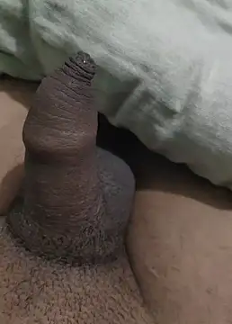 Snapshot of iaparna chatting on 12.29.24 iaparna online show from 12.29.24