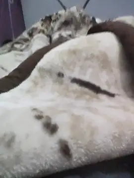 iaparna online show from 12.16.25