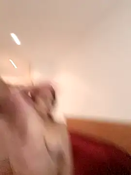 THIAGOEVA online show from 12.10.24