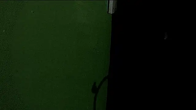 Snapshot of Deleon1995 chatting on 01.02.25 Deleon1995 online show from 01.02.25