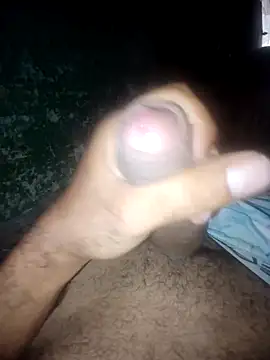 taylorWiiz online show from 10.02.25