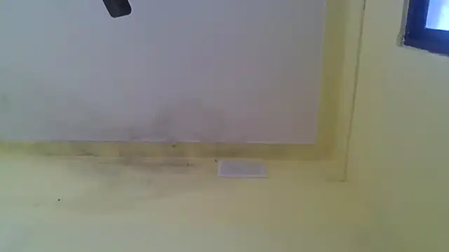 Snapshot of Nitya-Mahesh chatting on 01.20.25 Nitya-Mahesh online show from 01.20.25