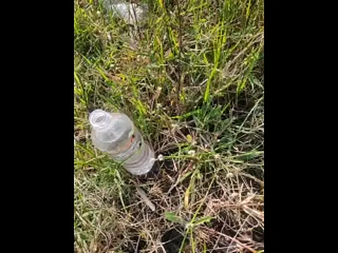 boy BeardGallery online show from 11.10.25