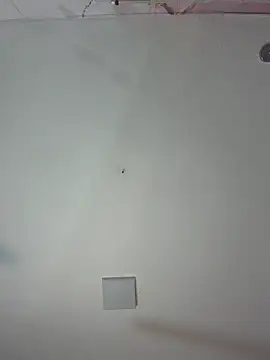 kiim taaylor online show from 02.25.26