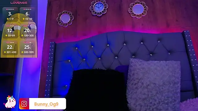Snapshot of Bunny_O chatting on 01.29.25 Bunny O online show from 01.29.25