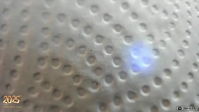 Sali g online show from 12.31.24