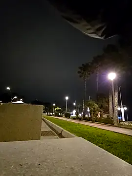 charlye inkkkk online show from 02.28.26