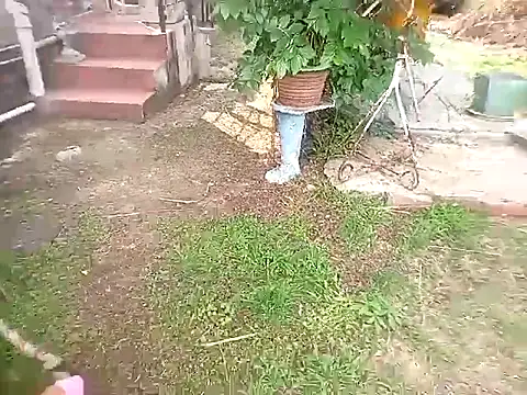 bustybillies online show from 10.11.25