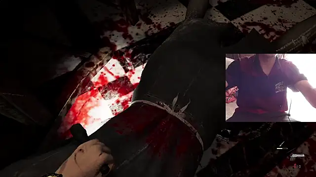 Dreamdaze2025 online show from 04.13.26