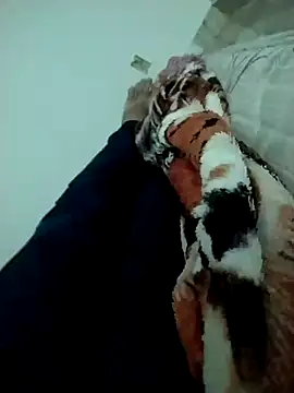 lm279 online show from 02.14.25