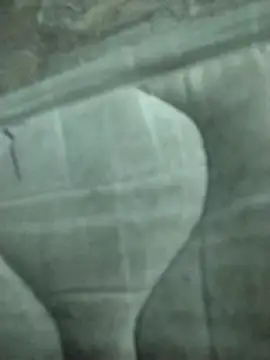 lm279 online show from 02.19.25