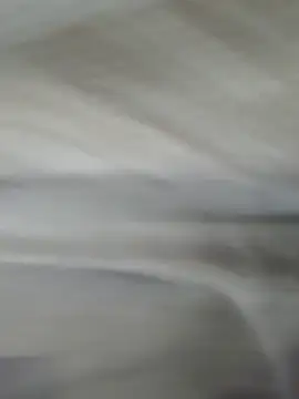 lm279 online show from 11.01.25