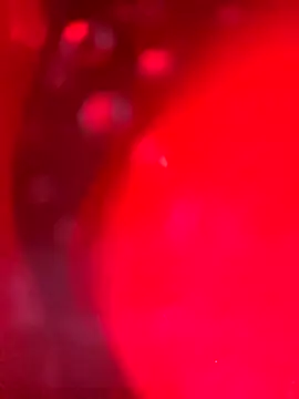 Cobra500hp online show from 03.28.26